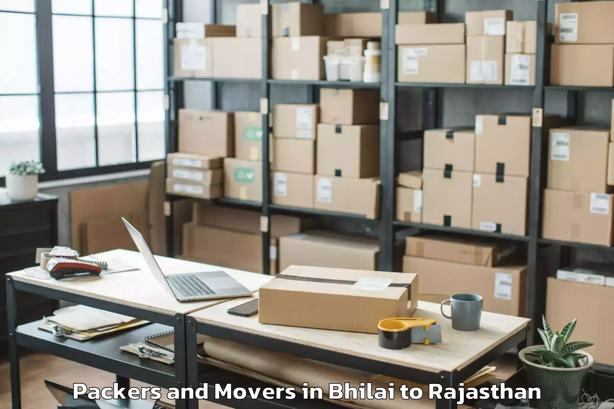 Affordable Bhilai to Chittorgarh Packers And Movers